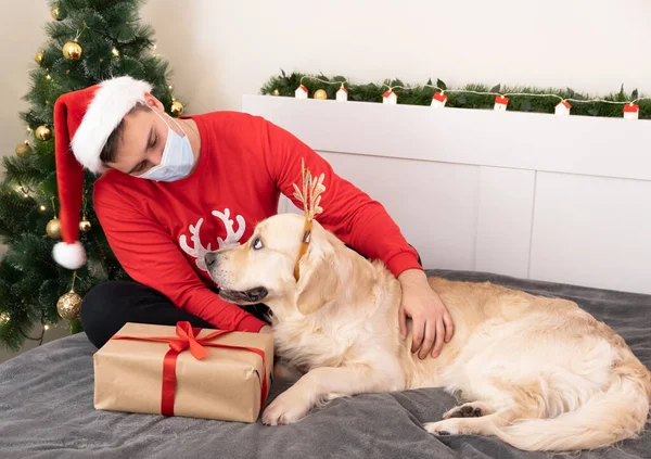 Человек Шляпе Санта Клауса Медицинской Маске Обнимает Золотистого Ретривера Рождественской — стоковое фото