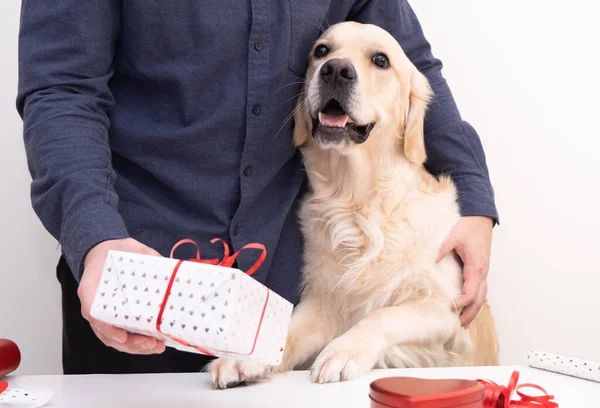 Hombre Con Perro Sosteniendo Regalo San Valentín —  Fotos de Stock