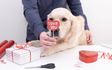 Sevgililer günü hediyesini elinde tutan köpeği olan bir adam..