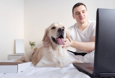 Evde dizüstü bilgisayar ve köpekle pizza yiyen genç bir adam. Aile bireyleri olarak hayvan kavramı. Golden Retriever 'ı olan bir adam yatak odasında televizyon seyrediyor..