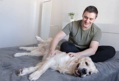 Genç bir adam bir köpekle yatakta oynuyor. Eşlik eden Golden Retriever evde oturuyor.