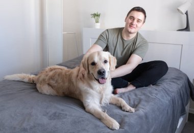Genç bir adam bir köpekle yatakta oynuyor. Eşlik eden Golden Retriever evde oturuyor.