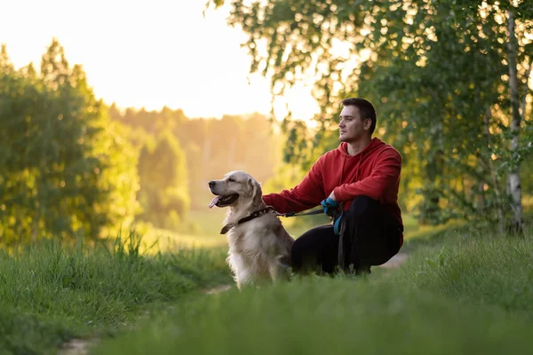 年轻人带着一只金毛猎犬在夏天的公园散步 男人的手在绿色的草地上抚摸着一只快乐的狗 与宠物互动的概念 — 图库照片