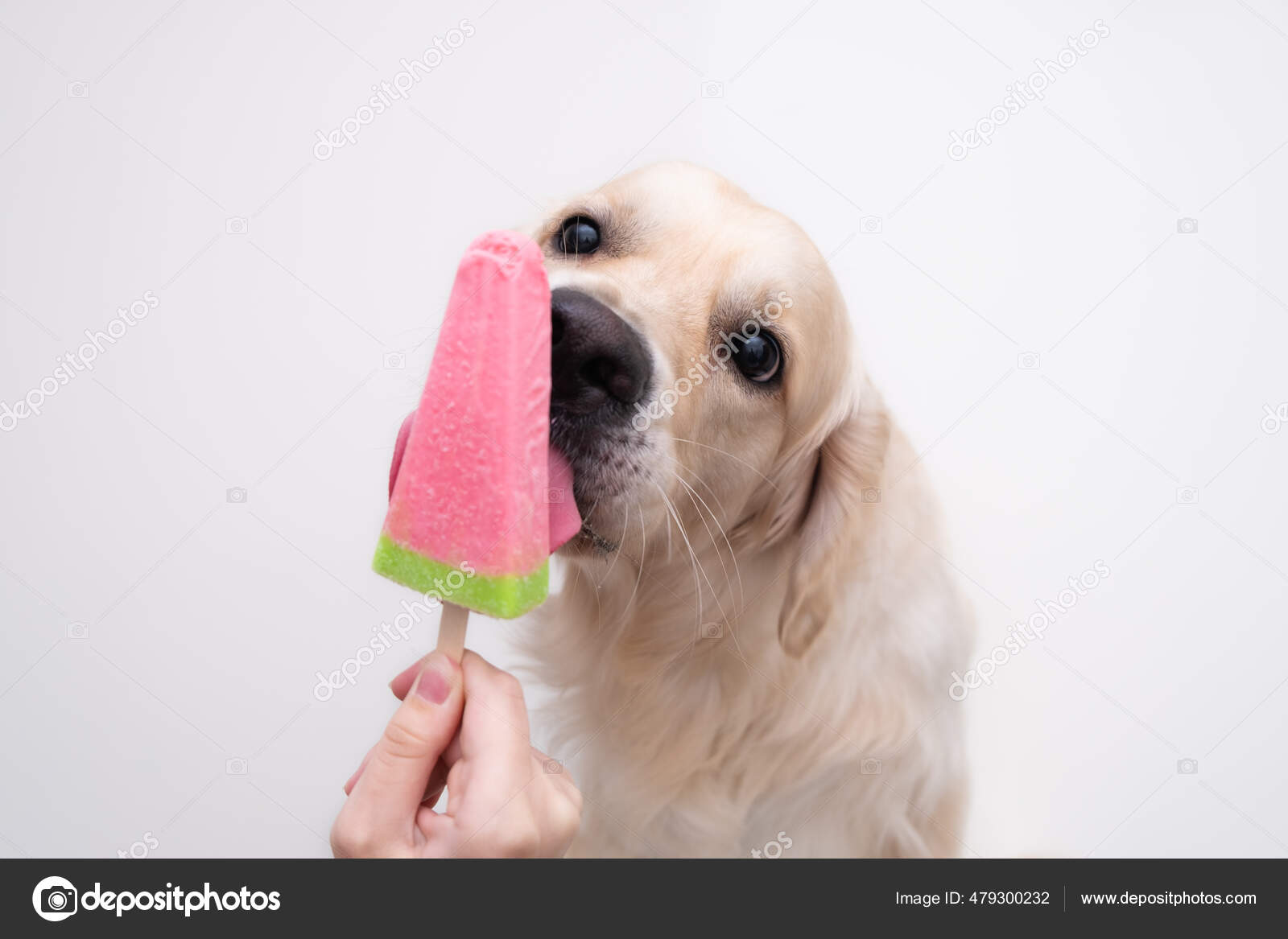 can-dogs-eat-banana-popsicles