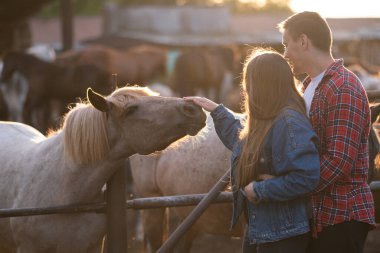 A beautiful couple is stroking a white horse at sunset in summer. Husband and wife walk through the stables in the evening sun. Animal love concept and horse riding