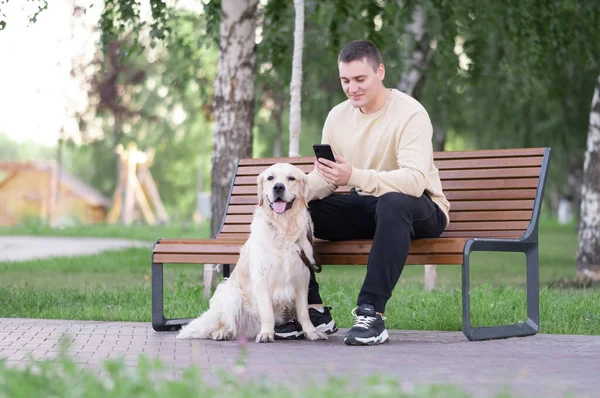 Bir adam bir köpekle parkta oturuyor ve telefona bakıyor. Golden Retriever sahibiyle yürüyor.