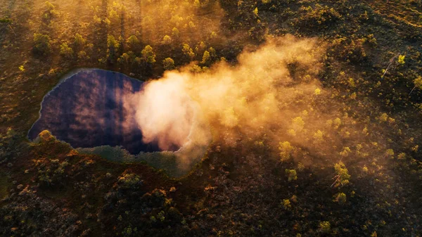 An aerial of a colorful fog emerging from a small bog lake in a primeval landscape in Estonia, Northern Europe.
