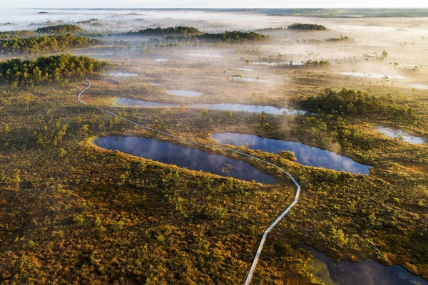 Uma Vista Aérea Uma Trilha Caminhadas Através Pântano Com Lagos — Fotografia de Stock