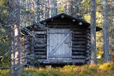 Kuzey Finlandiya 'da sonbahar taiga ormanının ortasında küçük bir orman kulübesi..