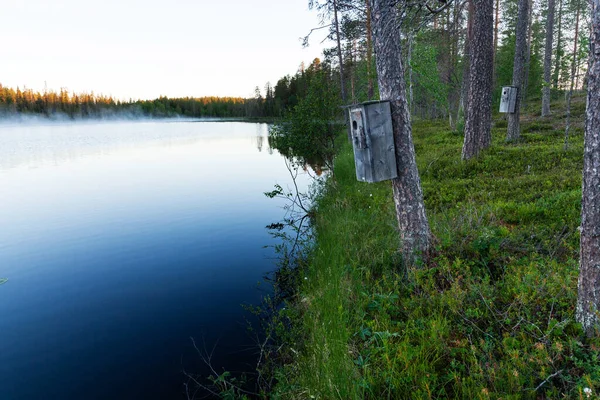 Wooden Nesting Box Small Forest Lake Northern Finland — Stock Photo, Image