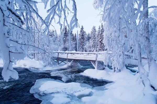 Деревянный Мост Через Текущие Речные Пороги Холодную Морозную Погоду Настоящей — стоковое фото