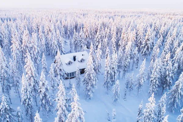 Una Vista Aérea Una Pequeña Cabaña Madera Medio Las Maravillas — Foto de Stock