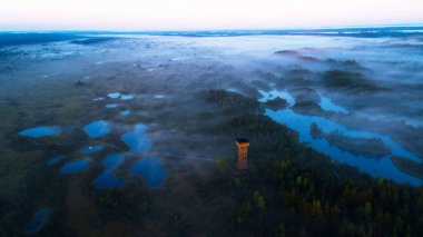 İzleme kulesi ve Kuzey Avrupa 'da ahşap yürüyüş yolu ile sisli gündoğumunda Estonya doğasında güzel bir bataklık manzarası..
