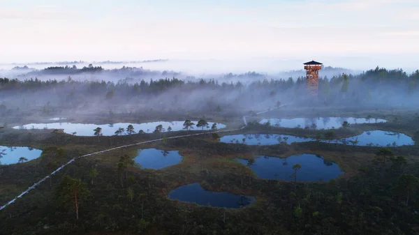 Uma Vista Aérea Belo Pântano Natureza Estoniana Durante Nascer Sol — Fotografia de Stock