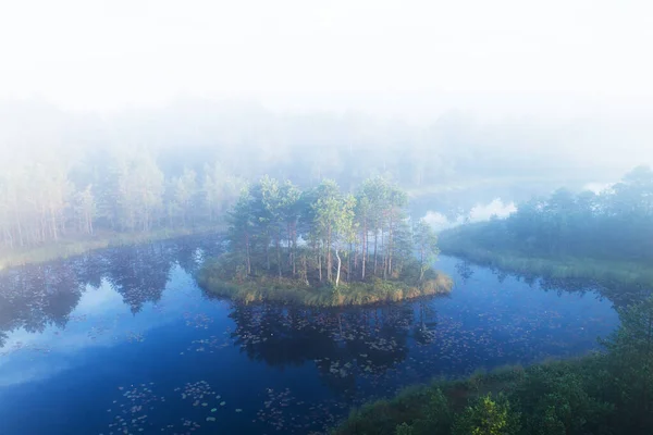 Uma Vista Aérea Manhã Nebulosa Verão Mukri Pântano Estônia Com — Fotografia de Stock