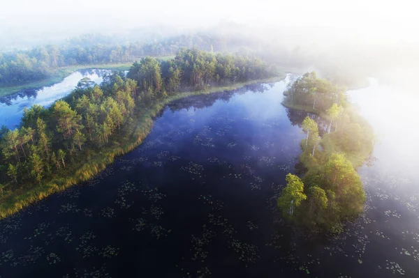 Uma Vista Aérea Manhã Nebulosa Verão Mukri Pântano Estônia Com — Fotografia de Stock