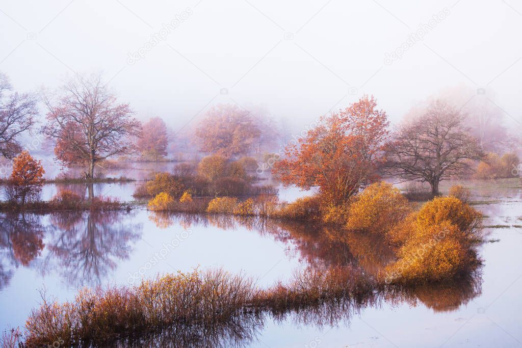 Soomaa National Park during a autumnal flood also known as the Fifth season in a foggy morning in Estonian nature, Northern Europe.