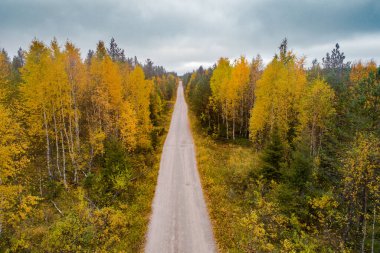 Kuzey Finlandiya 'da sonbahar taiga ormanlarından geçen küçük bir yolun anteni..