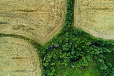 Estonya 'daki üç küçük ekin tarlasının ve yemyeşil bir ormanın havadan çekilmiş fotoğrafı..
