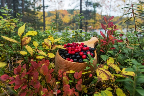 Wooden Cup Filled Freshly Picked Ripe Lingonberries Crowberries Northern Delicacy — Stock Photo, Image