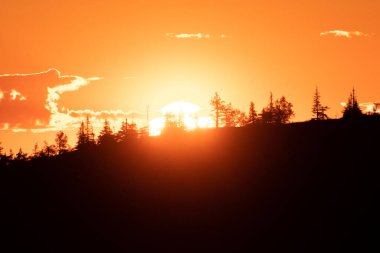 Yaz boyunca Laponya, Kuzey Finlandiya 'da ağaçlarla kaplı tepenin ardında güneş batıyor..
