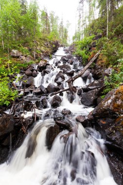 Kuzey Finlandiya 'daki Oulanka Ulusal Parkı' nda yaz sabahı yüksek bir Saaripuron şelalesi.