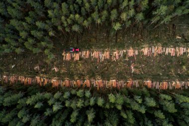 Kuzey Avrupa 'daki Estonya Boreal Ormanı' ndaki bir çam koruluğunu kesen ahşap biçicinin hava görüntüsü.