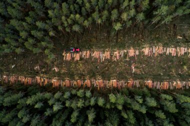 An aerial view of wood harvester clear-cutting a pine grove in Estonian boreal forest, Northern Europe clipart