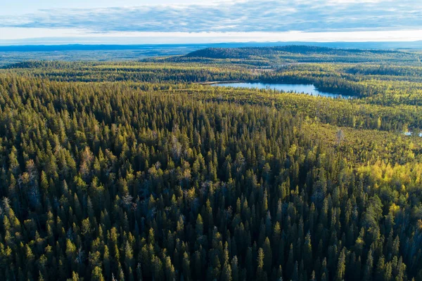 Uma Vista Aérea Floresta Taiga Finlandesa Verão Perto Kuusamo — Fotografia de Stock
