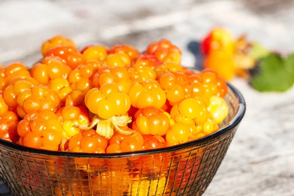 Golden Freshly Picked Sweet Cloudberries Rubus Chamaemorus Northern Delicacy Small — Stock Photo, Image
