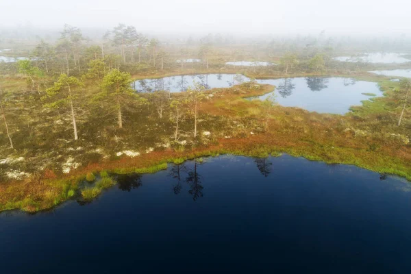 Taman Nasional Soomaa Pemandangan Udara Danau Rawa Kuresoo Saat Matahari — Stok Foto