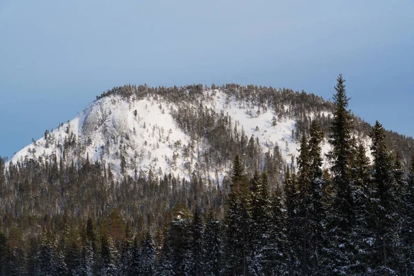Invierno Konttainen Cayó Con Bosque Cerca Kuusamo Norte Finlandia — Foto de Stock