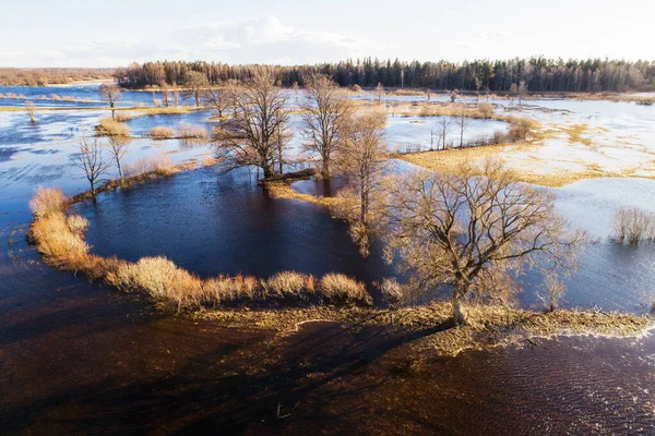 Parque Nacional Soomaa Durante Uma Inundação Primavera Também Conhecida Como — Fotografia de Stock