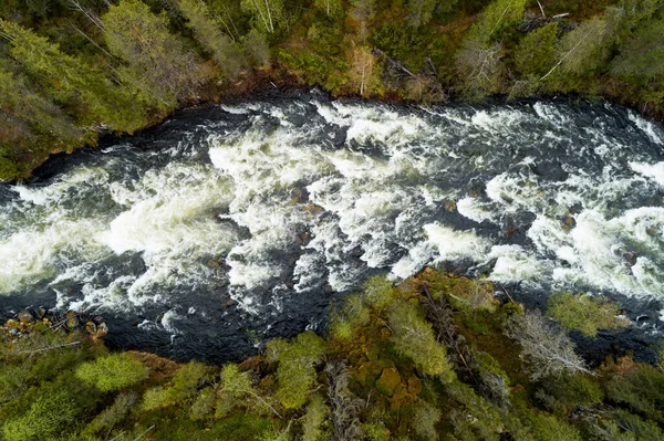 Uma Vista Aérea Das Corredeiras Fluviais Através Exuberante Verde Floresta — Fotografia de Stock