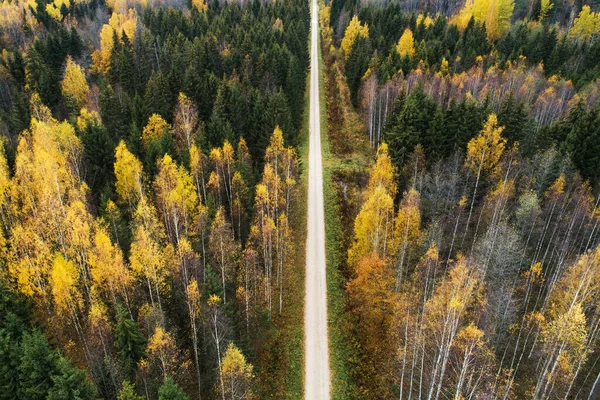 Uma Antena Uma Pequena Estrada Que Atravessa Uma Floresta Boreal — Fotografia de Stock