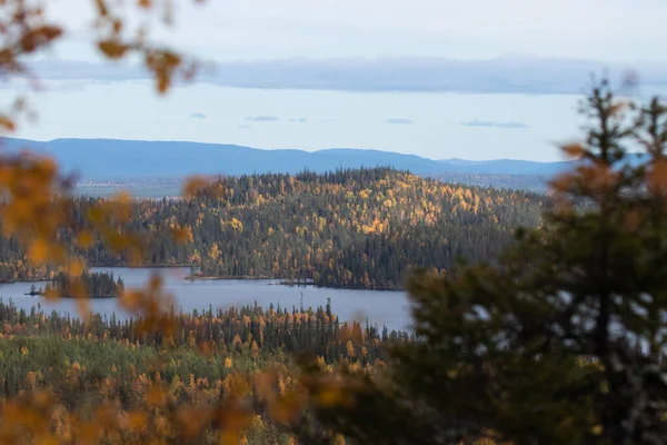 Uma Vista Para Uma Floresta Encosta Lago Norte Finlândia Perto — Fotografia de Stock