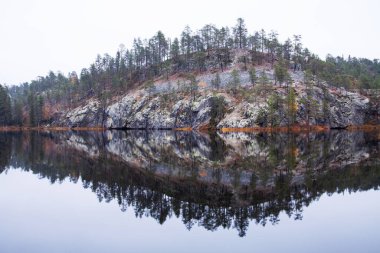 Kuzey Finlandiya 'daki Oulanka Ulusal Parkı' nda bir sonbahar öğleden sonra çam ağaçlarıyla kaplı kayalık bir uçurumun yansıması..