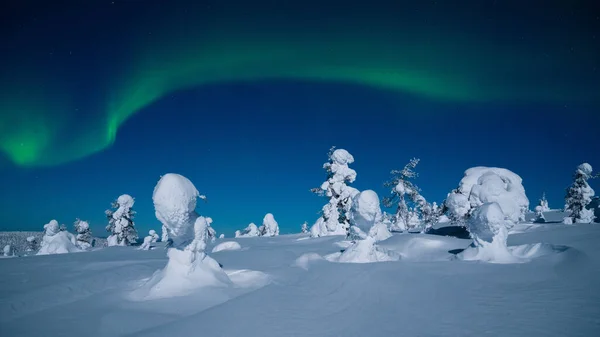 Spectaculair Noorderlicht Aurora Borealis Display Tijdens Een Koude Koude Winternacht — Stockfoto