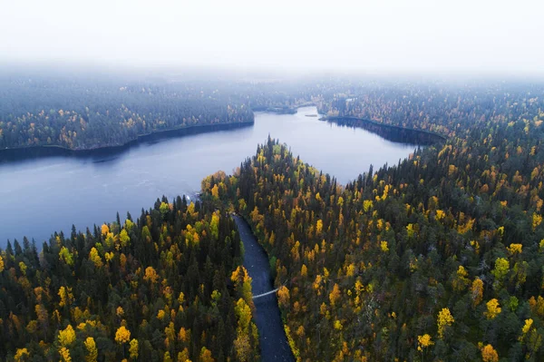 Uma Antena Uma Paisagem Taiga Outono Colorida Enevoada Norte Finlândia — Fotografia de Stock