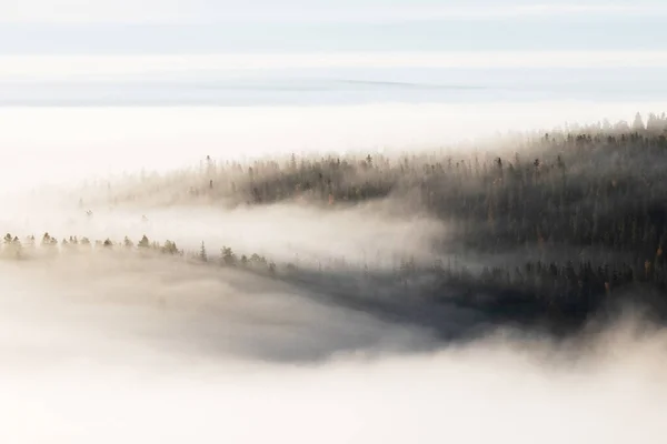 Preenche Nevoeiro Durante Uma Manhã Norte Finlândia Perto Kuusamo Outono — Fotografia de Stock