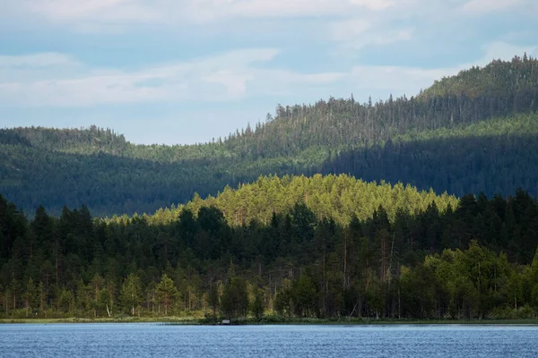 Encostas Cobertas Com Floresta Taiga Dia Verão Norte Finlândia — Fotografia de Stock