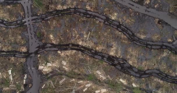 Aerial View Muddy Sad Looking Clear Cut Area Deforestation European — Stock Video