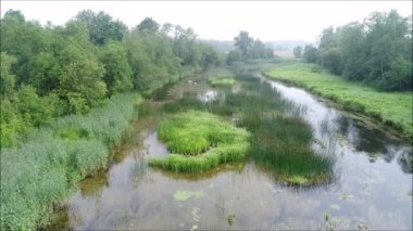 Yaz sabahı Estonya kırsalındaki yemyeşil bir nehrin üzerinden yavaş bir insansız hava aracı uçuşu.