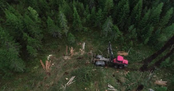 Emelkedő Légi Rálátás Mezőgazdasági Termelőkre Traktorban Zöld Kaszálása Szénának Vagy — Stock videók