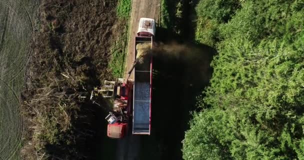 Vista Aérea Ascendente Agricultor Trator Cortando Grama Verde Para Feno — Vídeo de Stock