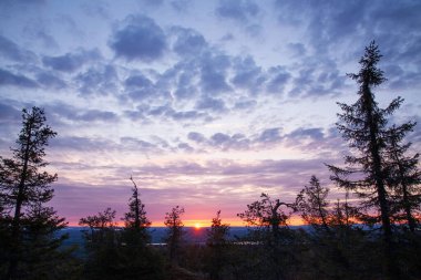 Finlandiya Taiga Ormanı 'nın üzerinde yaz akşamı renkli bulutlarla güzel bir gün batımı..