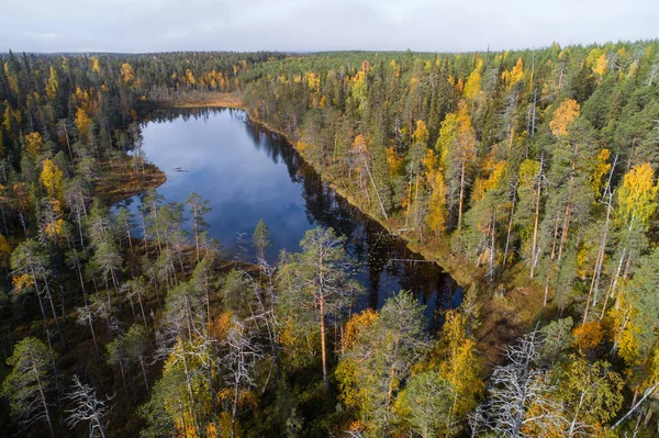 Uma Vista Aérea Pequeno Lago Meio Colorida Floresta Finlandesa Taiga — Fotografia de Stock