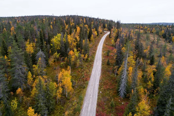 Uma Antena Uma Pequena Estrada Que Leva Através Uma Floresta — Fotografia de Stock