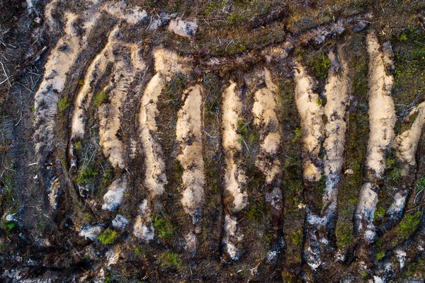 An aerial of clear-cut area after mineralizing the soil to prepare it for new young trees in Estonia, Nortern Europe.