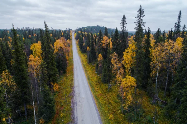 Uma Antena Uma Pequena Estrada Que Leva Através Uma Floresta — Fotografia de Stock